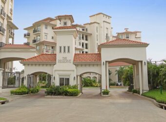 The Reserve The Reserve